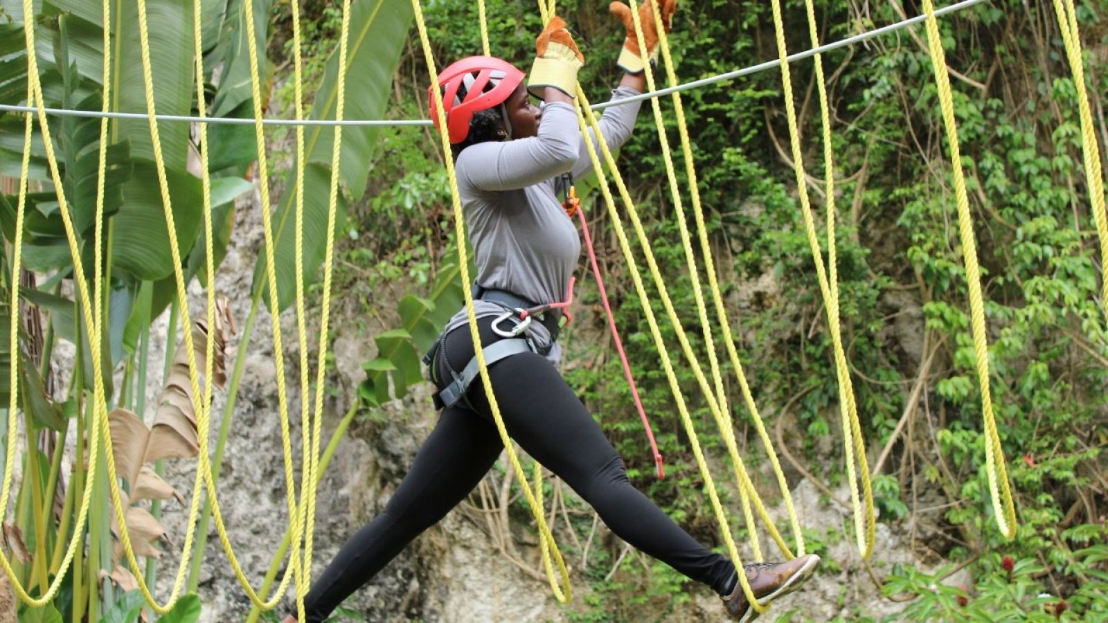 Monkey Zip & Gully Challenge Course Adventure 