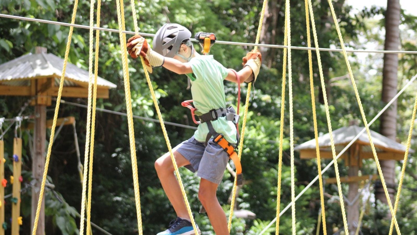 Harrison's Cave Adventure Pass